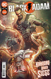 Black Adam #1-12 (Comic Set) (2022)