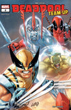 Deadpool Team-Up by Rob Liefeld #1-5 (Comic Set) (2024)