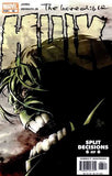 The Incredible Hulk : Split Decisions (Comic Set) (2004)