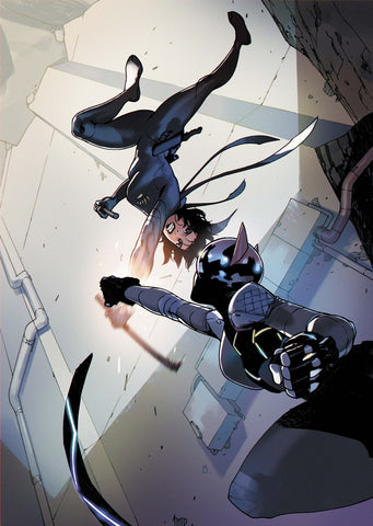 Absolute Catwoman #5   (On Sale Mid-November 2026)