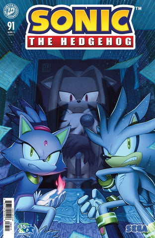 Sonic the Hedgehog #91   (On Sale November 2026)