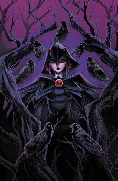 DC's Quoth the Raven… Whatever #1   (On Sale October 2026)