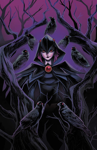 DC's Quoth the Raven… Whatever #1   (On Sale October 2026)