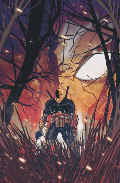 Deathstroke: The Terminator #9   (On Sale Late-November 2026)
